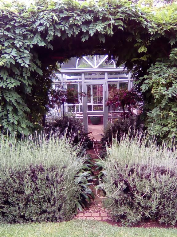 Bed and Breakfast Doveton House Йоганнесбурґ Екстер'єр фото
